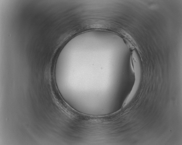 X0000075400482200610061935