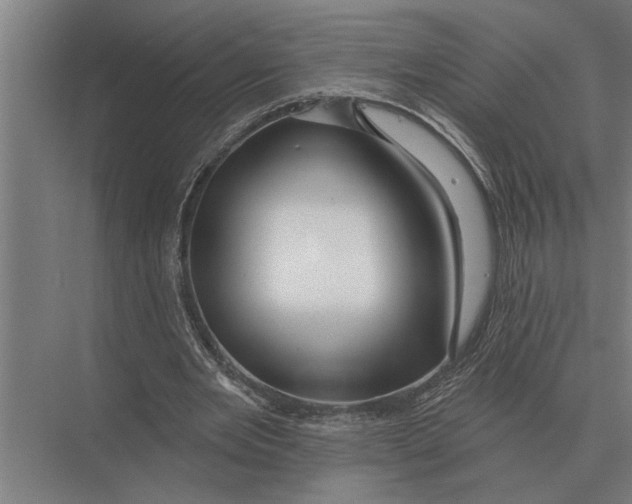 X0000075400485200610061935
