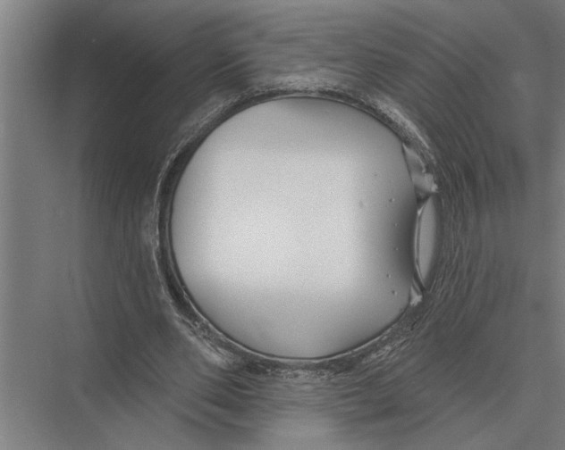 X0000075400486200610061935