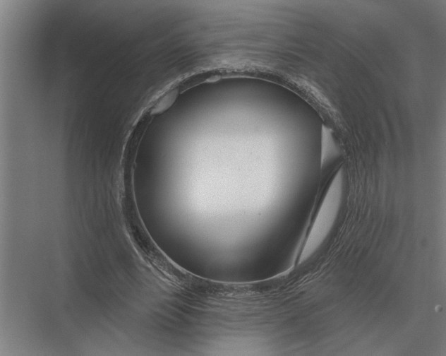 X0000075400488200610061935