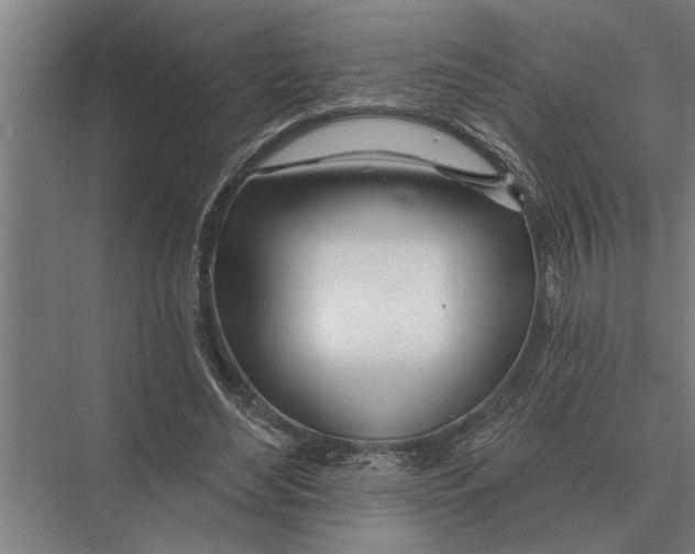X0000075400492200610061934