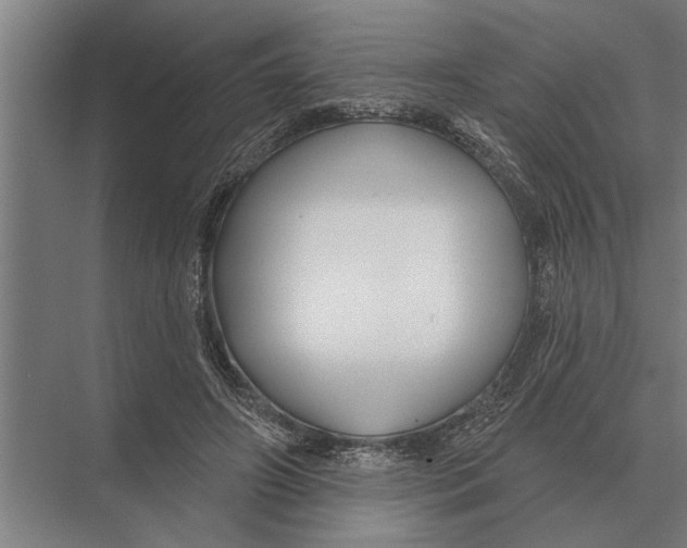 X0000075400498200610061934