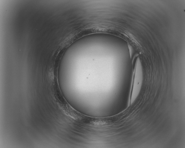 X0000075400500200610061934