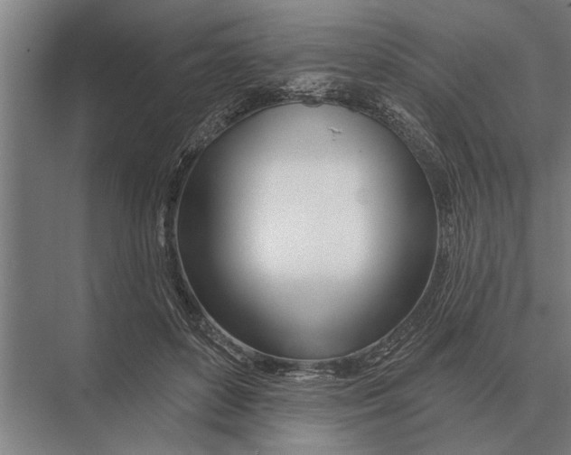 X0000075400504200610061934