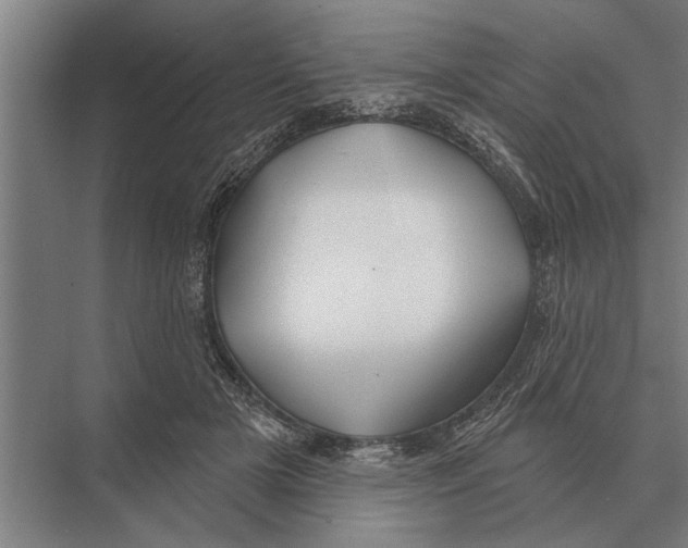 X0000075400505200610061934