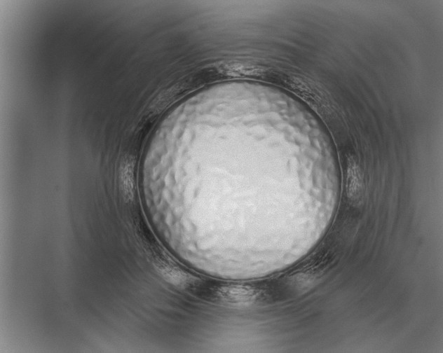 X0000075400506200610061934