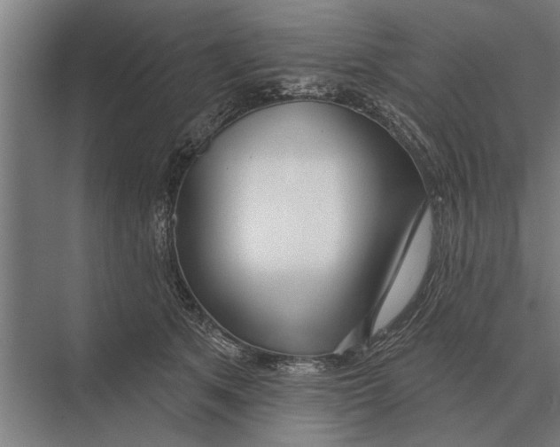 X0000075400513200610061934
