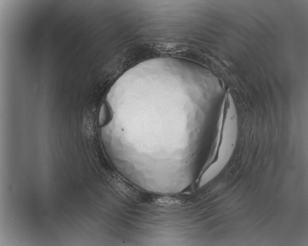 X0000075400515200610061934