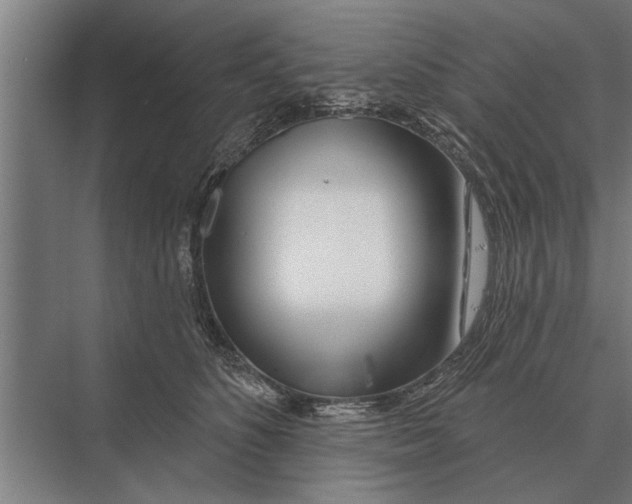 X0000075400516200610061934