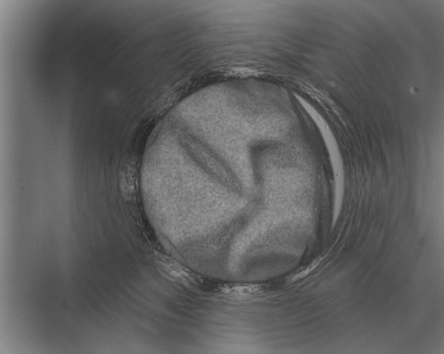 X0000075400517200610061934