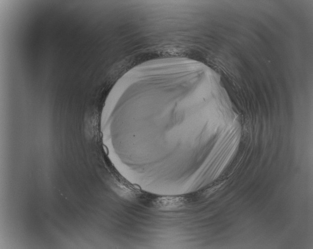 X0000075400526200610061934