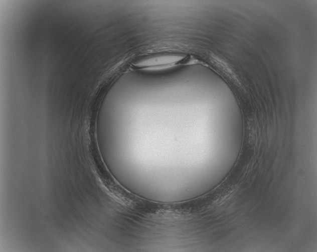X0000075400538200610061933