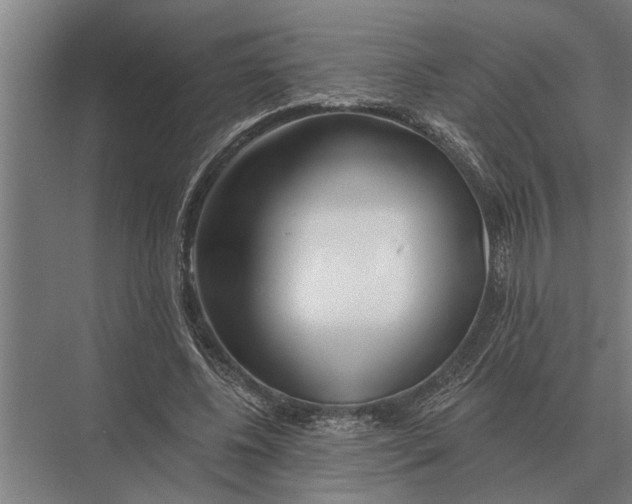 X0000075400540200610061933