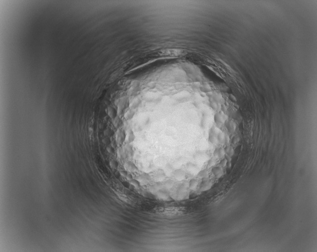 X0000075400553200610061933