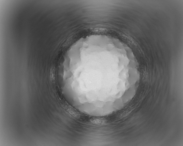 X0000075400561200610061934