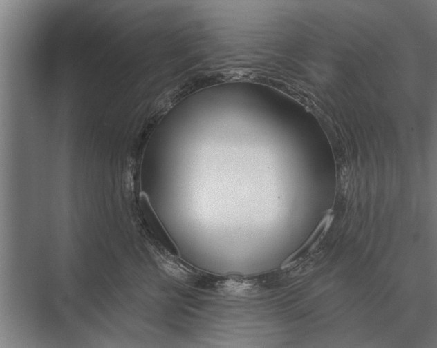 X0000075400570200610061934