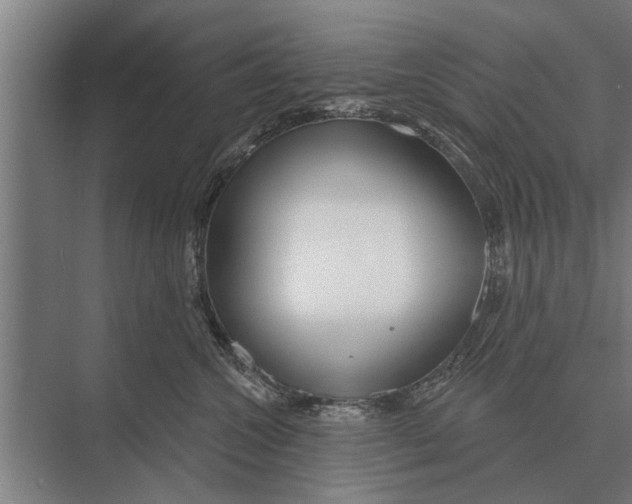 X0000075400572200610061934