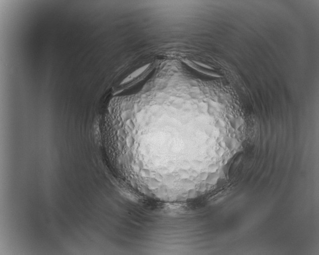 X0000075400573200610061934