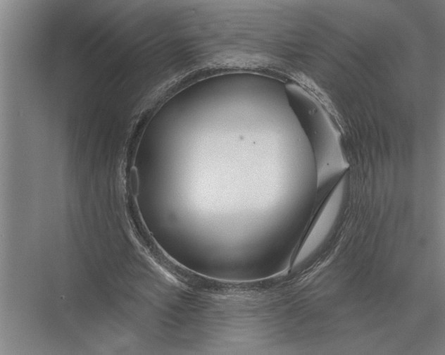 X0000075400581200610061933