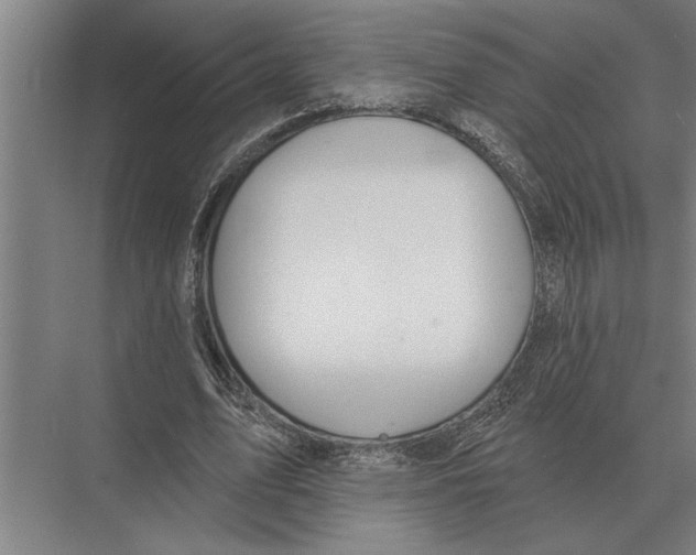 X0000075400583200610061933