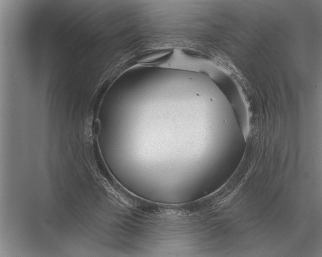 X0000075400585200610061933