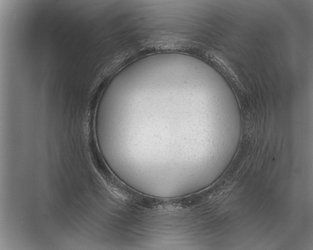 X0000075400586200610061933