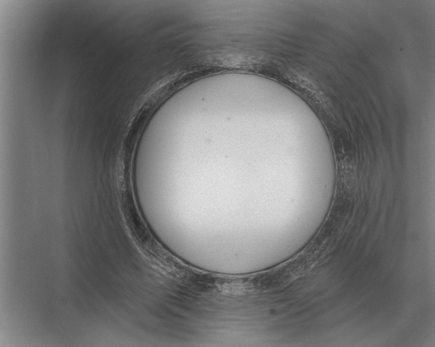 X0000075400587200610061933