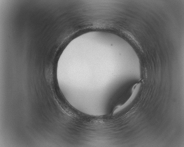 X0000075400588200610061933