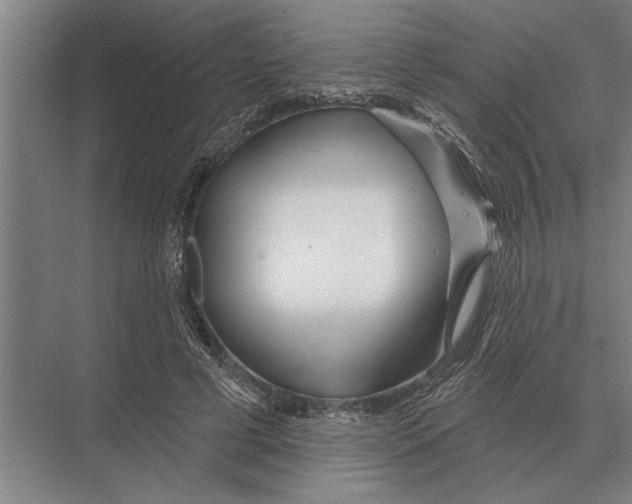 X0000075400593200610061933