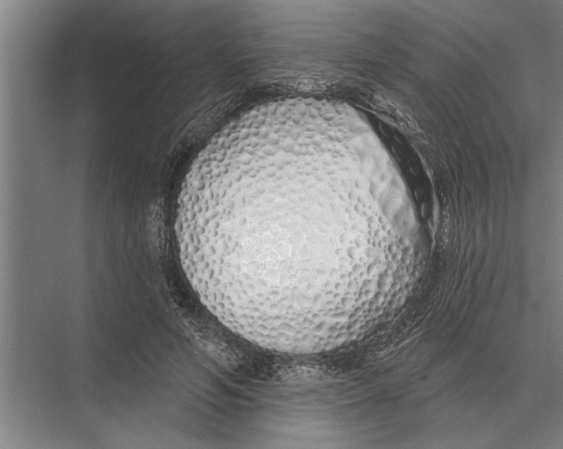 X0000075400594200610061933