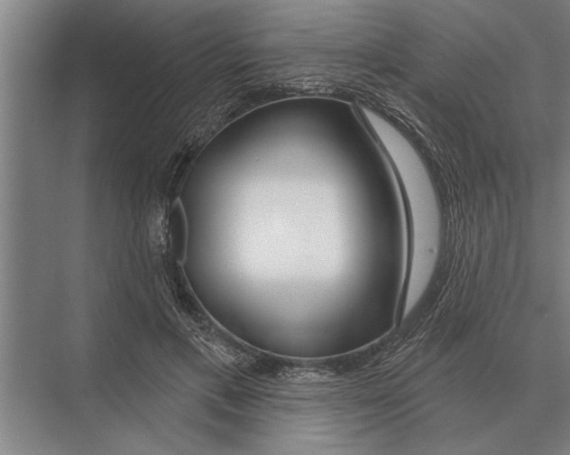 X0000075400597200610061933
