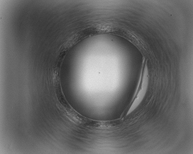 X0000075400601200610061933