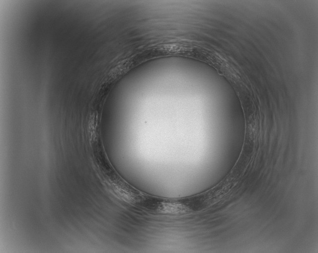 X0000075400605200610061933