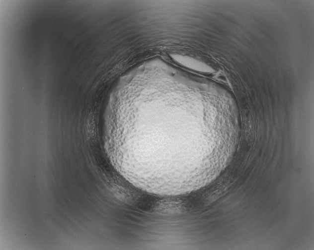 X0000075400606200610061933