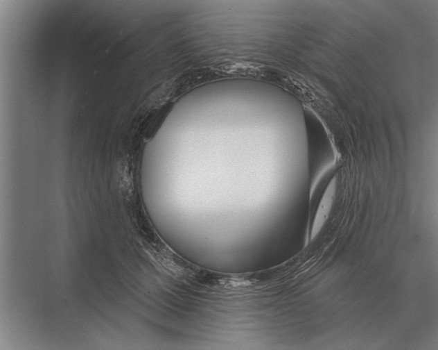 X0000075400607200610061933