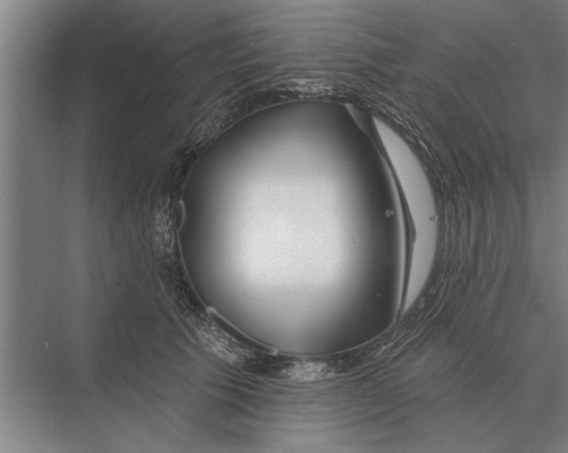 X0000075400609200610061932