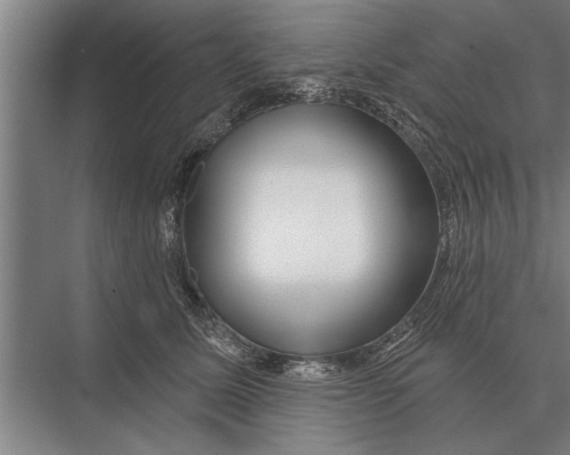 X0000075400611200610061932