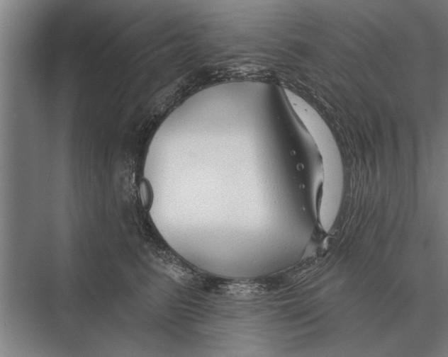X0000075400615200610061932