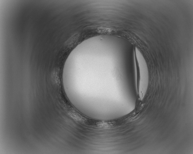 X0000075400616200610061932