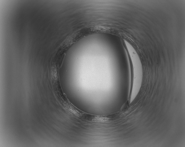 X0000075400617200610061932