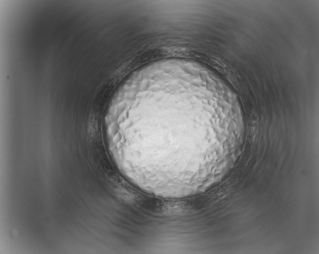X0000075400618200610061932
