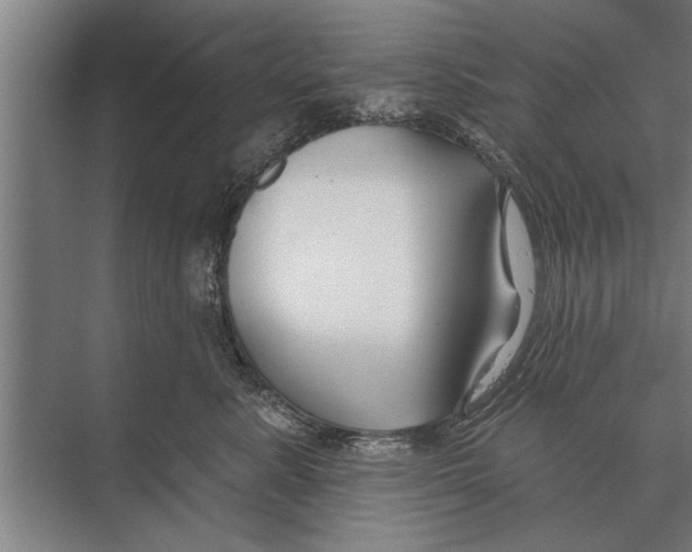 X0000075400619200610061932