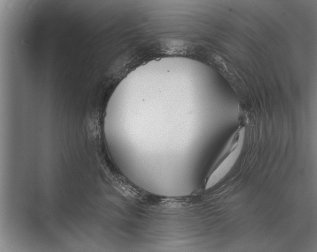 X0000075400620200610061932