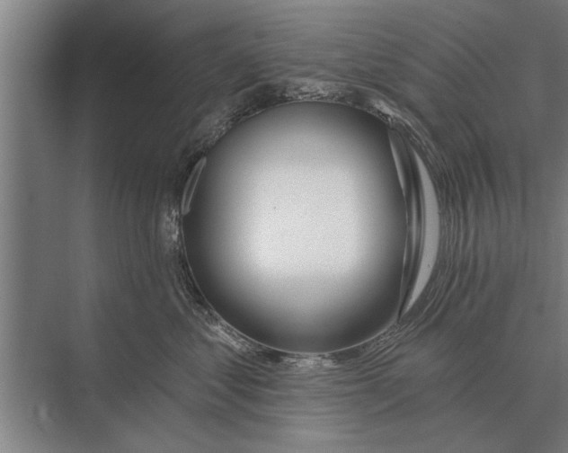 X0000075400621200610061932