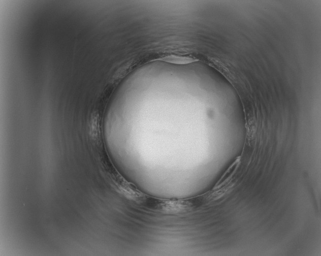 X0000075400623200610061932