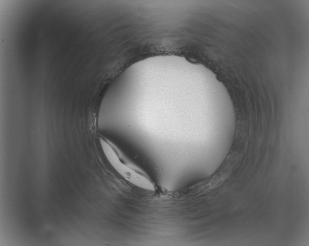 X0000075400624200610061932