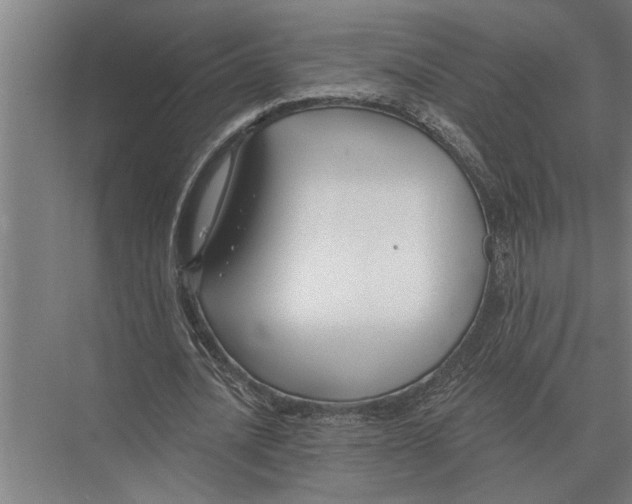 X0000075400628200610061931