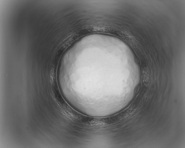 X0000075400648200610061932