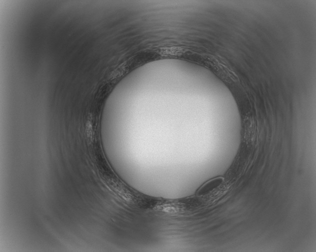 X0000075400655200610061932