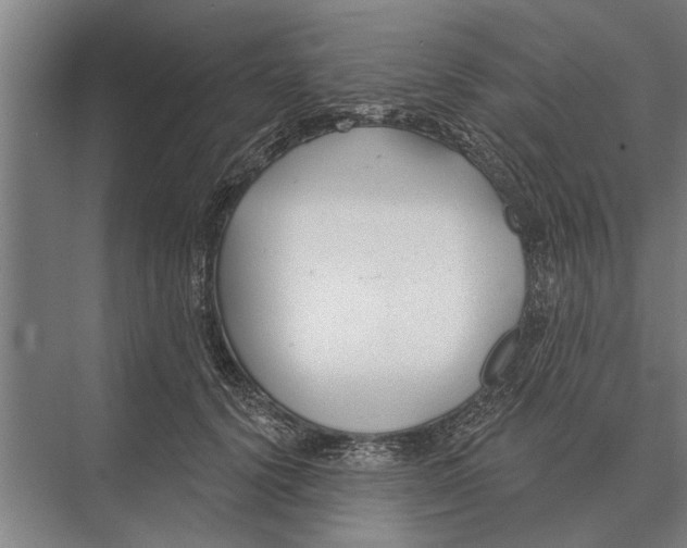 X0000075400656200610061932